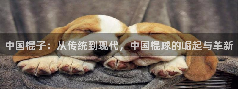 米兰体育网页版登录