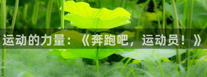 米兰体育官网