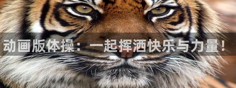 米兰体育登录