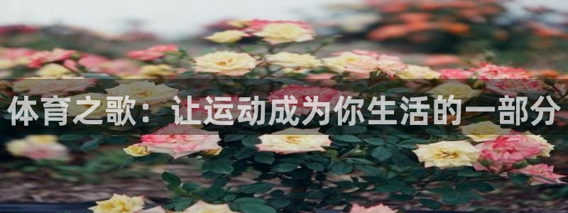 米兰体育下载官网最新版