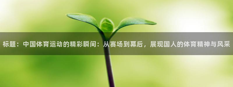 米兰体育报官网