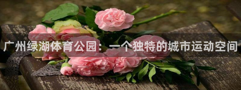 米兰体育网站