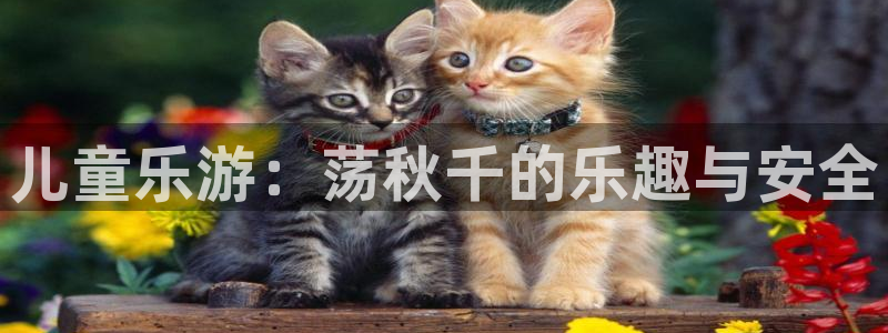 米兰体育.