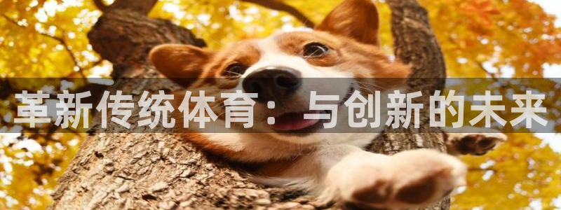 米兰体育